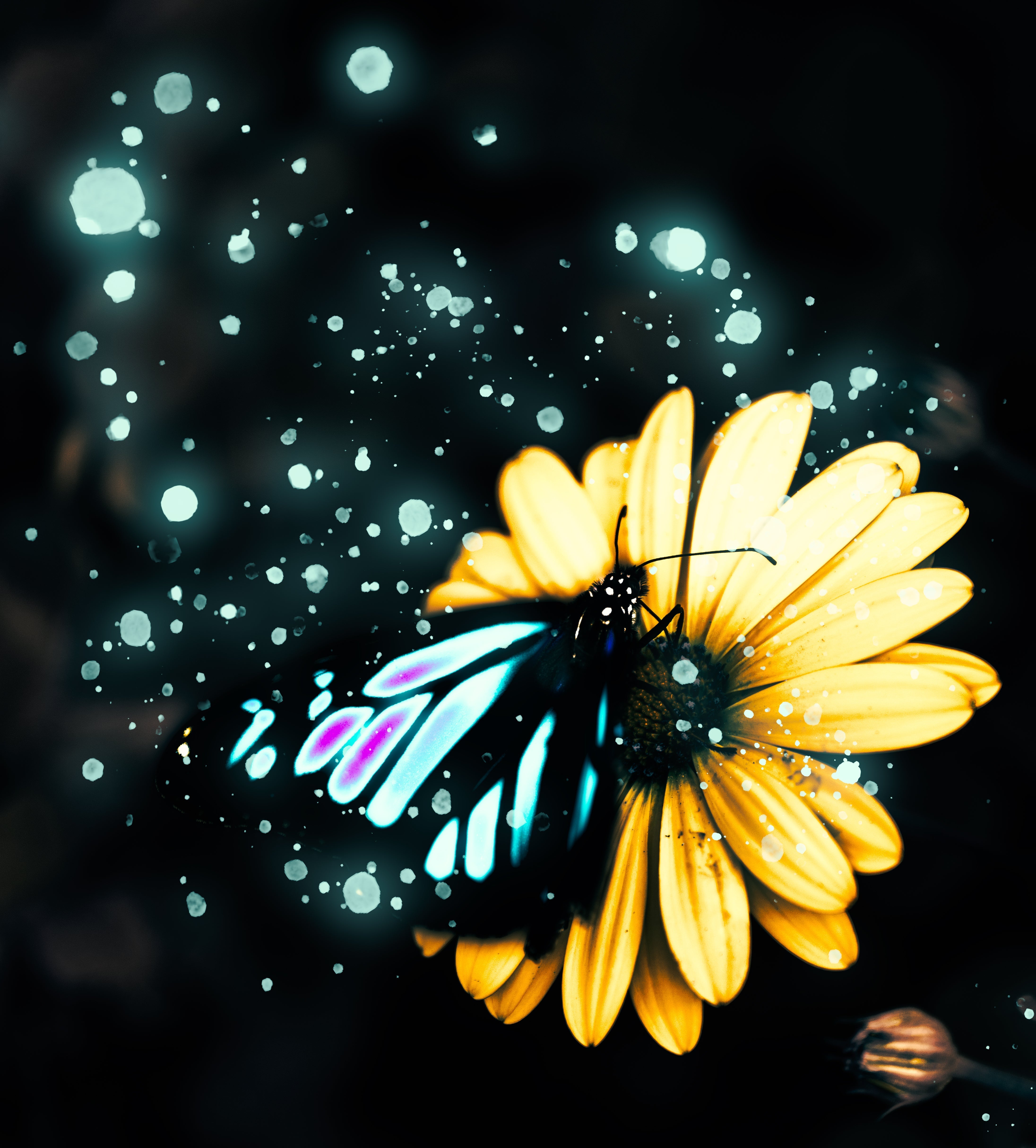 Add a Beautiful Glow to your Pictures: A Step-by-Step Guide