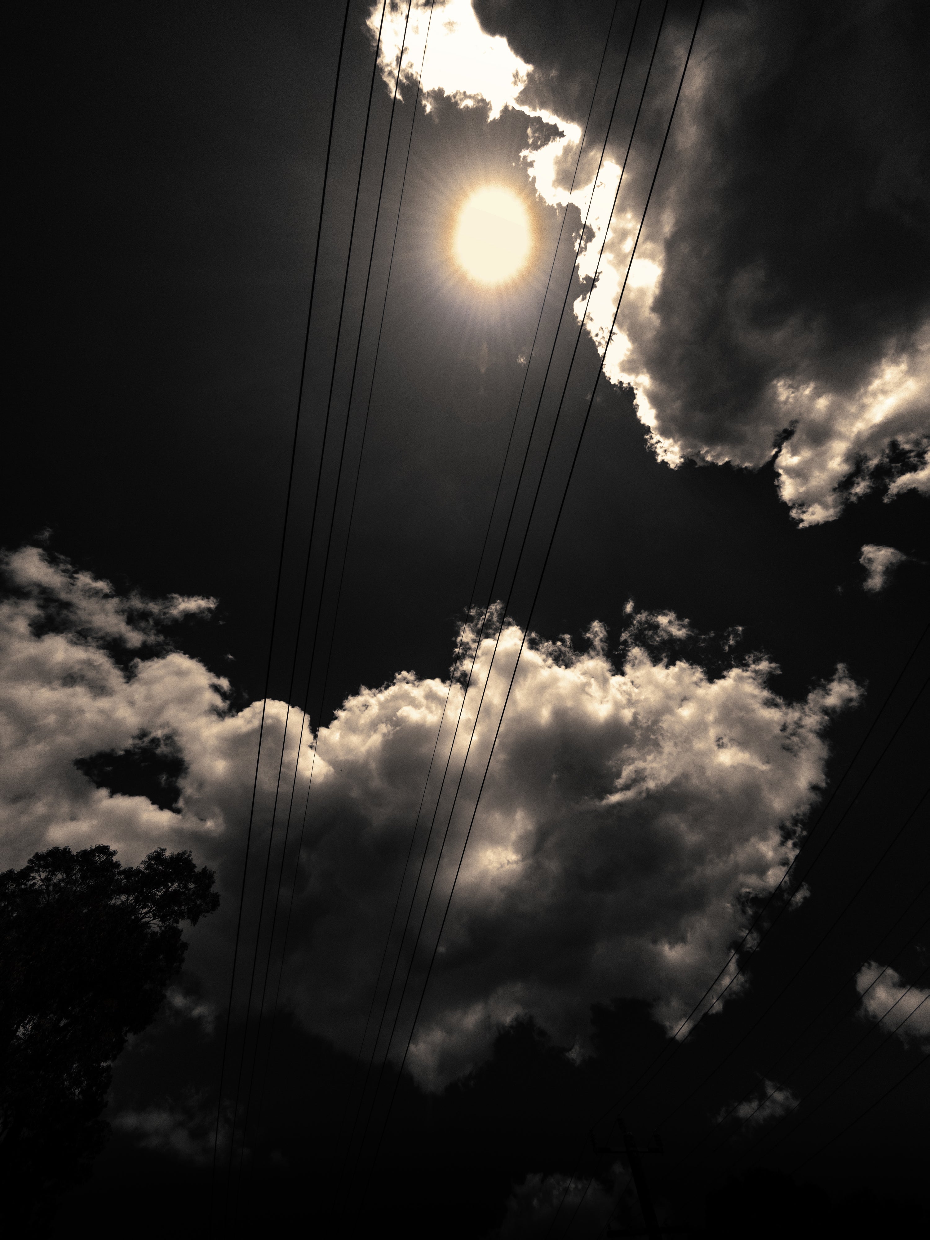 5 Ways Mobile Camera Outshines A Pro Camera