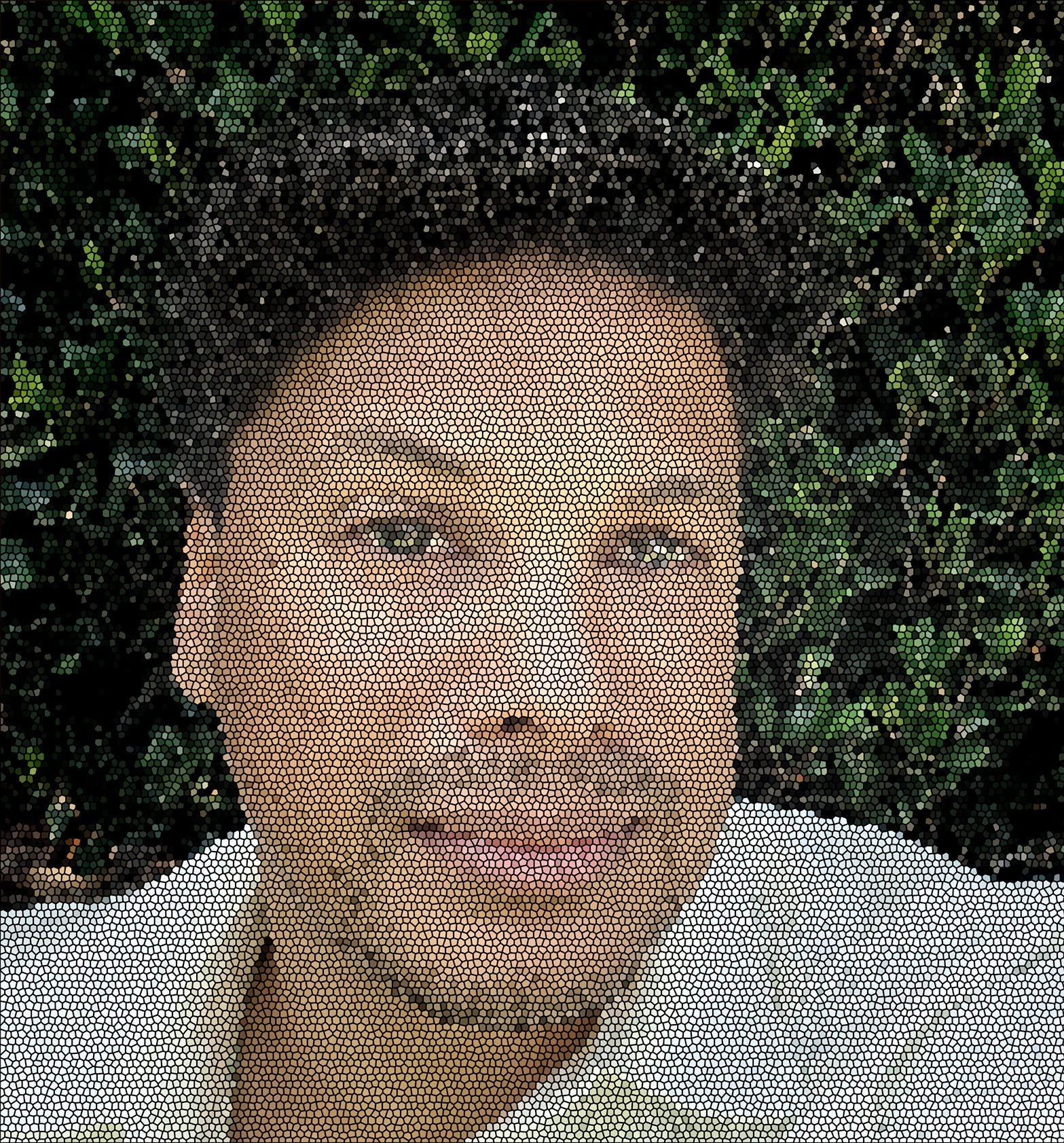 My Top 5 Blogs of 2024